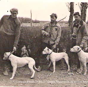 Tres cazadores con dogos argentinos